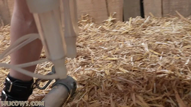Preview of HuCows Kiki Fucking Machine XXX